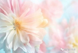 【必看】如何快速删除新贸节图片 